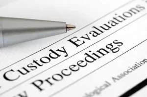 Custody evaluation form