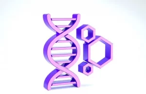 DNA model